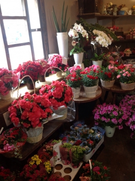 「ワカバ園」　（徳島県三好市）の花屋店舗写真3