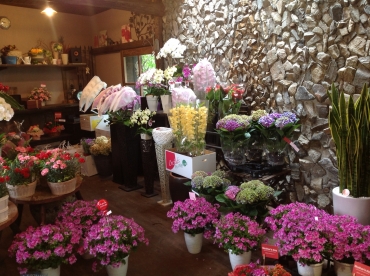 「ワカバ園」　（徳島県三好市）の花屋店舗写真4